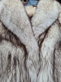 Pelliccia Volpe della Groenlandia, bellissim co