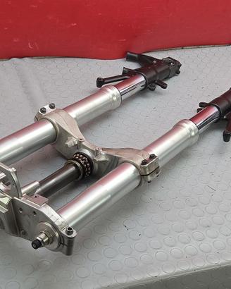 STELI FORCELLA KAWASAKI GTR 1400 2007_09