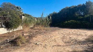 Terreno agricolo Località Santu Lianu