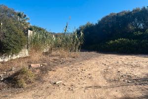 Terreno agricolo Località Santu Lianu