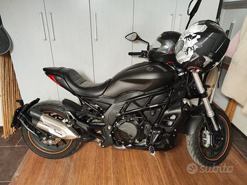 Benelli 502 C - 2019