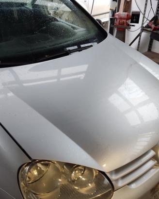 Cofano VOLKSWAGEN GOLF 5 del 2005