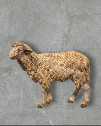 Pecora Capra Caprone Animale x Pastore x Presepe 