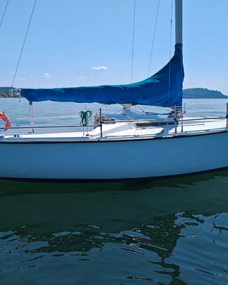 barca a vela Tango 730 completamente rifatta