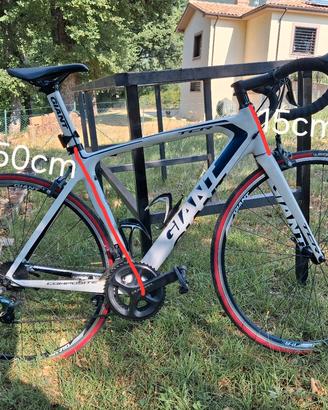 Bici da corsa GIANT