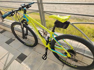 Bici MTB Torpado Ribot C 29"