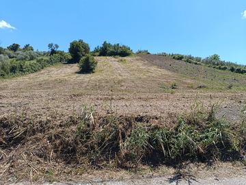 Terreno agricolo Monterotondo