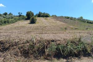 Terreno agricolo Monterotondo