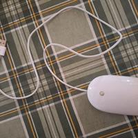 TASTIERA APPLE + MOUSE