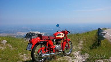 Gilera Giubileo 98