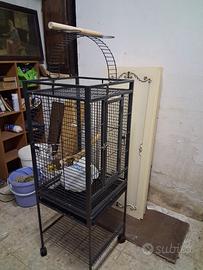 gabbia per pappagalli 