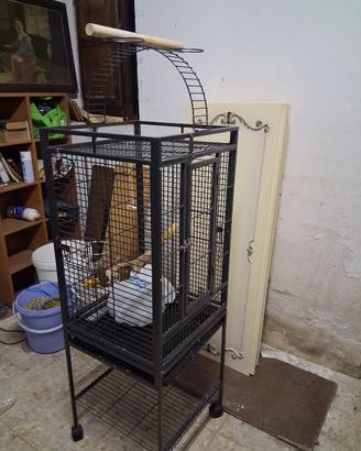 gabbia per pappagalli 
