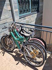 vendi biciclette in blocco o singole