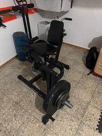 Leg extension/ curl rexgym