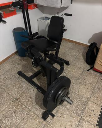 Leg extension/ curl rexgym