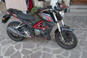Benelli BN 251 (2018)