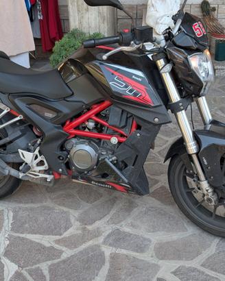 Benelli BN 251 (2018)