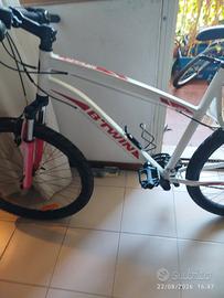 due biciclette in eccellenti condizioni 