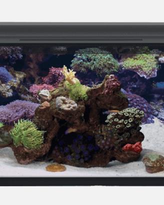 First Wave Aquarium 48 litri