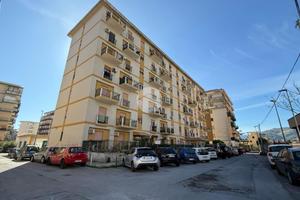 BOX A PALERMO