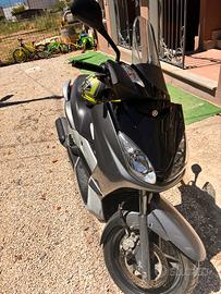 Xmax 250