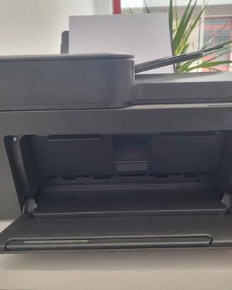 Stampante HP 4320