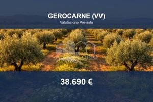 Immobile in asta di 88880 m² a Gerocarne