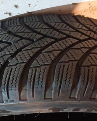 Gomme Firestone 175/65/15