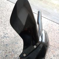 Carbonio Panigale V4