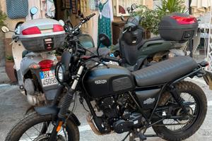 Briston Felberg 125