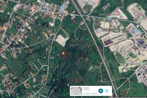 Terreno agricolo a Supino, località "I Colli"