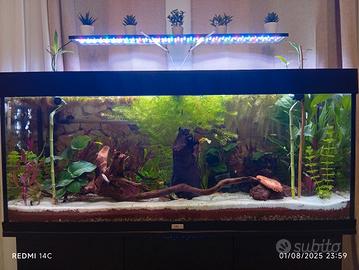 acquario jewel 240 