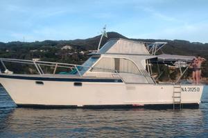 Fisherman 36 striker