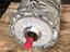 Immagine 10