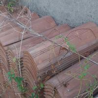 Coppi possagno nuovi mai utilizzati