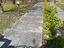Immagine 11