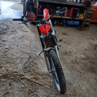 Beta rev 250 4t