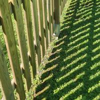 staccionata autoclavata in pino fcs