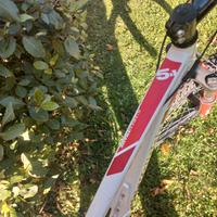 Bicicletta MTB RockRaider 5.1 Rossa/Bianca