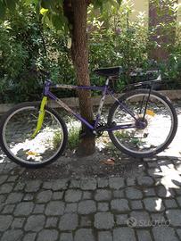 biciclette 