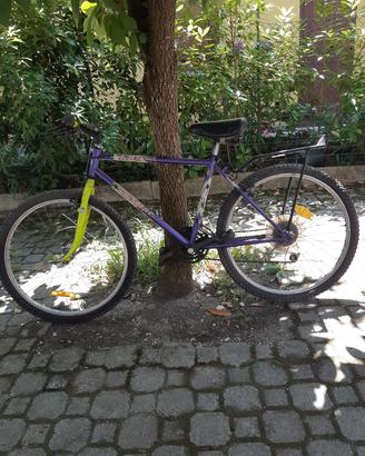 biciclette 