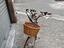 Immagine 2