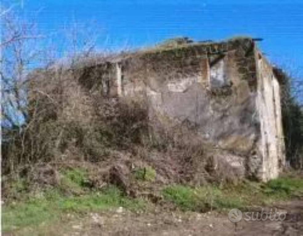 Immobile in asta di 272 m² a Civitella d'Agliano - Vista 5