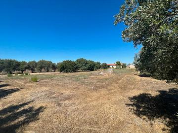 Assemini azienda agricola con casa in campagna