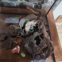 Acquario 100x45x50