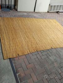 Arelle in bamboo