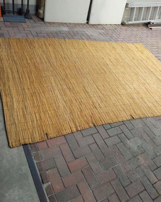 Arelle in bamboo