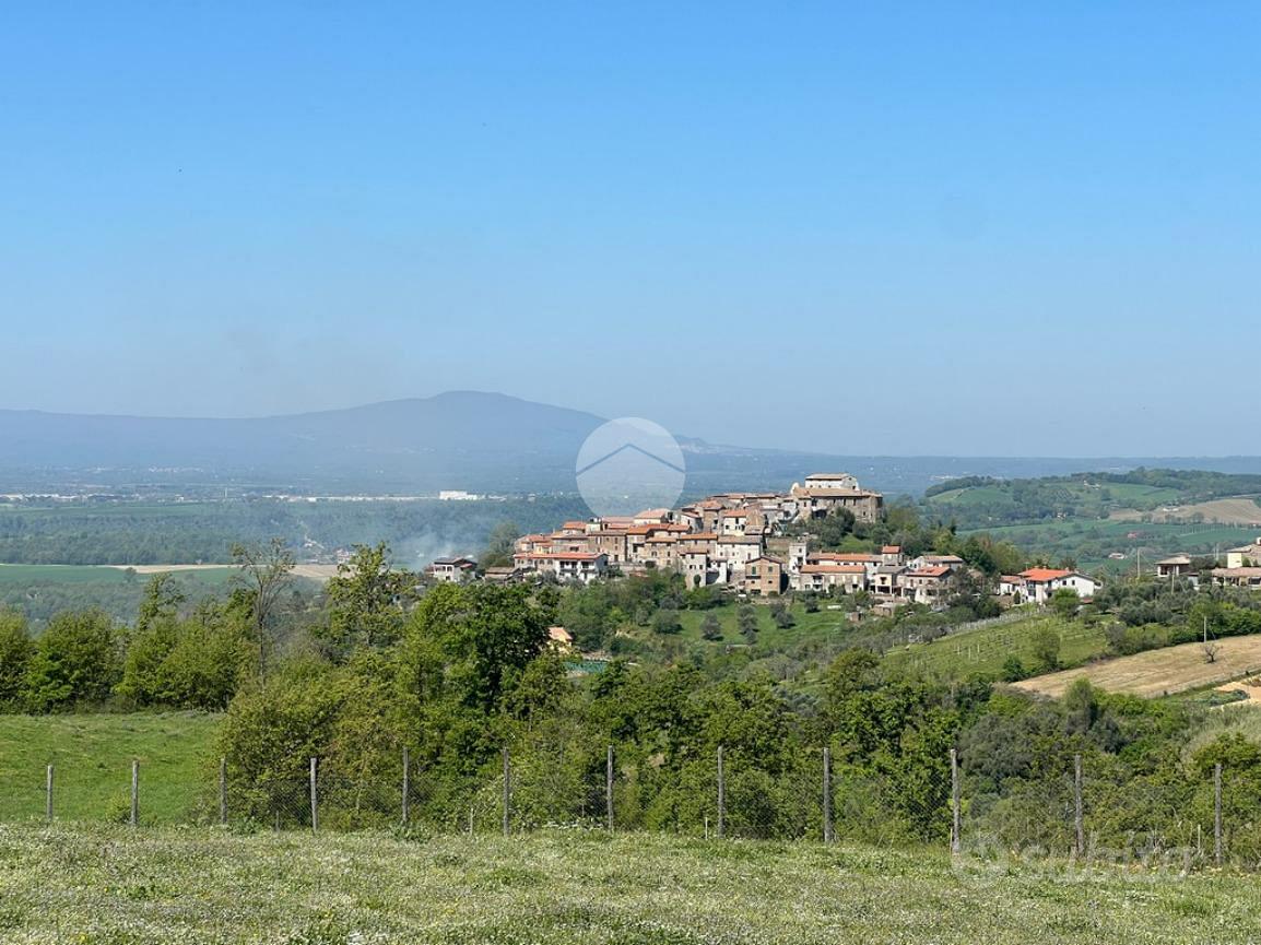 TER. AGRICOLO A COLLEVECCHIO - Vista 5
