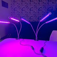 led coltivazione piante