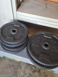 Dischi 82kg tot per Palestra 